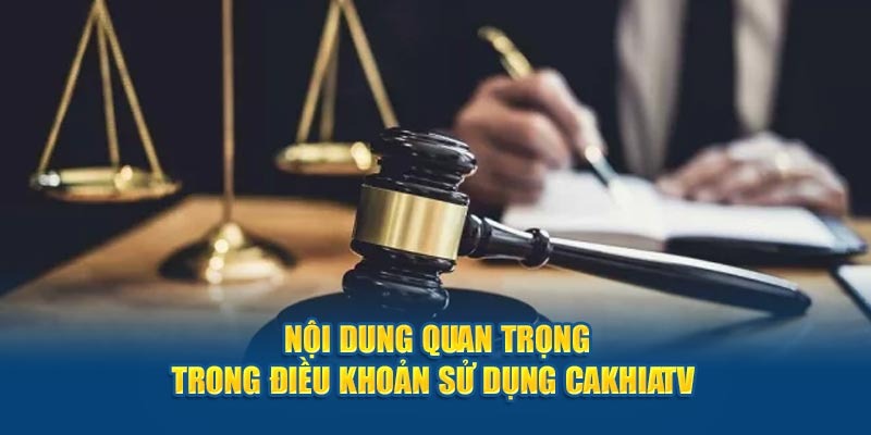 Tầm quan trọng của điều khoản sử dụng CakhiaTV trong đa lĩnh vực.